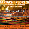 banner de mariachi pedregal 1f0588bd