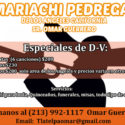 banner de mariachi pedregal 2 17f86b37